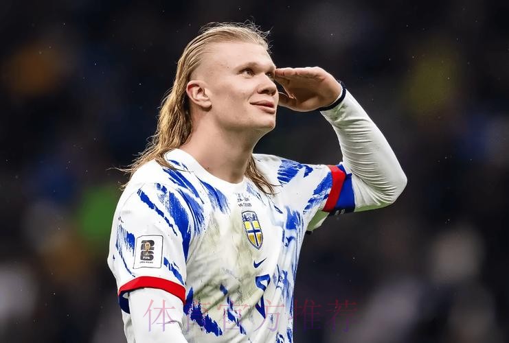 最新世界杯葡萄牙哈兰德比赛解读深度解读